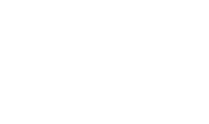 BULLSHOCKEY